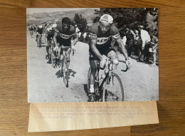 Cyclisme - Tour De France 1959 - Hilaire Couvreur & Rik Van Looy - Tirage Argentique Original - Wielrennen