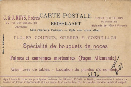 ANTWERPEN-ANVERS"RECLAME POSTKAART VAN C & J RUYS-HORTICULTEURS FLEURISTES-BLOEMENVERKOPERS-ANVERS VIELLE BOUCHERIE" - Antwerpen