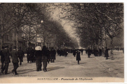 Montpellier Promenade De L'esplanade - Montpellier
