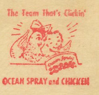 Meter Cut USA 1951 Chicken - Cranberry - Ocean Spray - Farm
