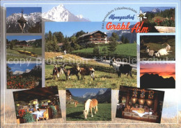 71989205 Mittenwald Bayern Alpengasthof Groebl Alm Mittenwald - Mittenwald