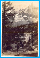 Haute-Savoie Chamonix 1875 * Chemin Du Montenvers, Femme En Amazone à Dos De Mulet * Photo Francis Frith - Oud (voor 1900)