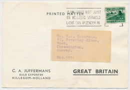 Firma Briefkaart Hillgom 1963 - Bloembollen - Zonder Classificatie