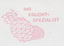 Meter Cut Netherlands 1991 Pineapple - Coconut - Fruits