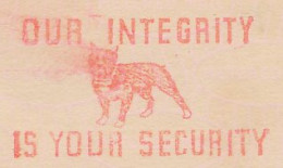 Meter Cut USA 1941 Dog - Security - Other & Unclassified