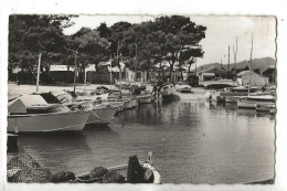 Hyères (83) : Le Port Du Quartier De La Capte  En 1950 (animé) PF. - Hyeres