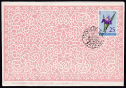 .Yugoslavia, 1963-08-25, Slovenia, Železniki, Lace Day, Special Postmark & Cover - Other & Unclassified