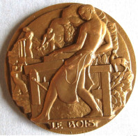 Médaille En Bronze LE BOIS, Menuisier, Bucheron, La Foret, Par Georges Ridet - Autres & Non Classés