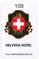 SVIZZERA  KEY HOTEL  Helvetia Hotel Seewen - Cartes D'hotel