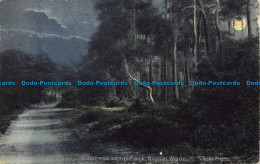 R160661 A Glimpse Of The Pines. Bostal Wood. By Night. Molyneux. 1905 - Monde