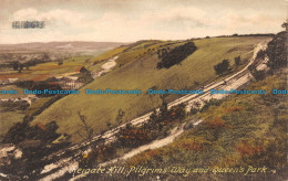 R160665 Reigate Hill. Pilgrims Way And Queens Park. Frith. 1922 - Monde
