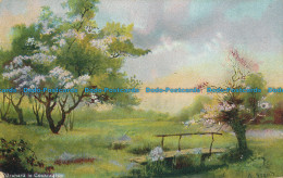R160672 Orchard In Cockington. 1910 - Monde