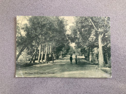 Gloucester Road Quetta Summer Carte Postale Postcard - Pakistan