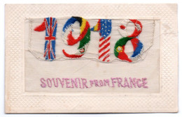 Souvenir From France. Carte Brodée - Patriotic