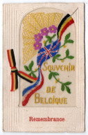 Souvenir De Belgique. Carte Brodée. Carte Double - Patriotiques