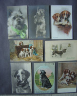 CHIENS - HONDEN - DOGS - Lot De 8 Cartes Anciennes - - Chiens