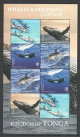 Tonga - 2020 - Whales And Dolphins - Yv 1578/81 - Balene