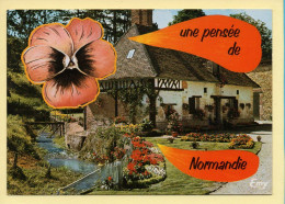 Basse-Normandie : Une Pensée De Normandie / Chaumière / Fleurs (voir Scan Recto/verso) - Basse-Normandie