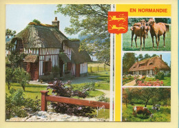 Basse-Normandie : En Normandie / Multivues / Blason / Haras / Chaumières / Vaches (voir Scan Recto/verso) - Basse-Normandie