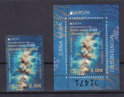 MONTENEGRO  2024,EUROPA CEPT, UNDERWATER FLORA AND FAUNA.SAVALIA SAVAGLIA,1V,BLOCKMNH - 2024