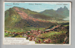 CH SZ Goldau Mit Rossberg 1902-07-27 Litho C.Steinmann/H.Schlumpf #2235 - Arth
