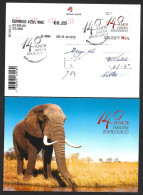 Elephant. Elephantidae. Entire Postcard The 140th Years Lisbon Zoo. Elefant. Gesamte Postkarte Lissaboner Zoos. Olifant. - Elephants