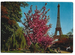 LA TOUR EIFFEL VUE DES JARDINS DU PALAIS DE CHAILLOT.-  PARIS.- ( FRANCIA ) - Eiffelturm