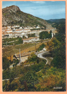 Ppgf/ CPSM Grand Format - GARD - ANDUZE - VUE DE LA MONTÉE D'ALES - Anduze