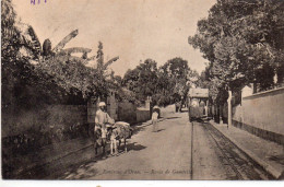 Oran Environs Animée Route De Gambetta Ane âne - Oran