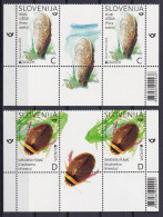 SLOVENIA 2024,EUROPA CEPT, UNDERWATER FLORA AND FAUNA,2V,WIGNETTE,MNH - Slovenië