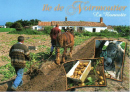 85 Ile De Noirmoutier - La Culture Des Pommes De Terre Appelées "la Bonnotte", Cheval, âne - Editions JACK N° 6180 - Ile De Noirmoutier