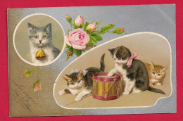 AB85 FANTAISIES ANIMAUX CHAT CHATS TAMBOUR ET ROSES MUSIQUE - Chats