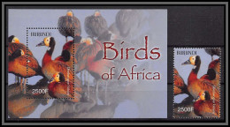 80857b Burundi Mi N°145 A + Timbre Dendrocygna Dendrocygne Canard Duck ** MNH Oiseaux Birds Of Africa 2004 - Ungebraucht