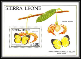 80789 Sierra Leone Mi BF N°171 Broad Bordered Grass Yellowa ** MNH Papillons Butterflies Schmetterlinge 1991 - Mariposas