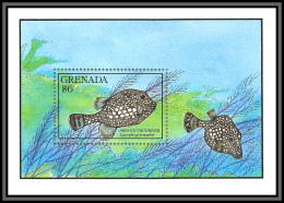 80689 Grenada MI B 254 Lachtophrys Triqueter Smooth Trunkfish Poissons (Fish Fishes) ** MNH 1990 - Fishes