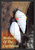 80684 Montserrat Mi N°106 Molluscs Of The Caribbean Coquillages Shell CONCHAS Mollusques 2005 ** MNH - Crostacei