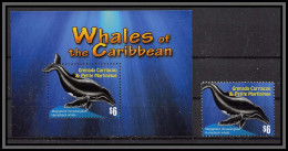 80678b Grenada Carriacou Petite Martinique MI B 641 + Timbre Mammals Whales Baleine à Bosse Whale ** MNH 2010 - Walvissen