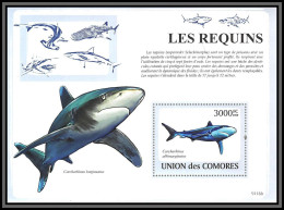 80679 Comores Y&T 162 Mi 480 Carcharhinus Longimanus Requins Requin Shark ** MNH Poissons Fishes Fish 2009 - Komoren (1975-...)