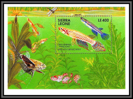 80669 Sierra Leone Mi N°165 TB Neuf ** MNH Poissons Fishes Fish Panchax Epiplatys Bifasciatus 1991 - Fische