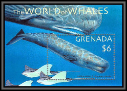 80660 Grenada Mi N°655 TB Neuf ** MNH The World Of Whales 2001 Sperm Whale Baleine - Walvissen