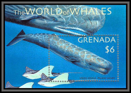 80660 Grenada Mi N°655 TB Neuf ** MNH The World Of Whales 2001 Sperm Whale Baleine - Grenade (1974-...)