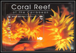 80654 Montserrat Mi N°127 TB Neuf ** MNH Coral Reef Of The Caribbean 2009 Récif Corallien - Marine Life
