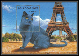 80612 Guyana Mi BF N°196 Chartreuse TB Neuf ** MNH Chats (chat Cats Cat) 1992 Paris Eiffel Tower  - Chats Domestiques