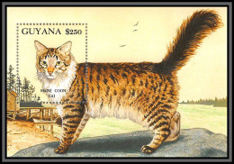 80603 Guyana YT BF N°107 TB Neuf ** MNH Chats (chat Cats Maine Coon Cat) 1992 - Hauskatzen