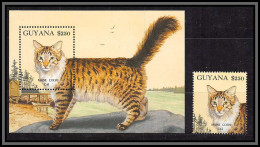 80603b Guyana YT BF N°107 + Timbre TB Neuf ** MNH Chats (chat Cats Maine Coon Cat) 1992 - Domestic Cats