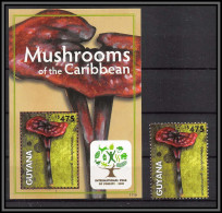 81142b Guyana Guyane Mi N°843 Amauroderma Champignons Mushrooms Of The Caribbean Funghi Pilze ** MNH 2011 Year Of Forest - Funghi