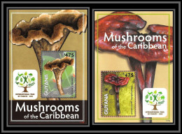 81128 Guyana Guyane MI N°842/843 Champignons Mushrooms Of The Caribbean Funghi Pilze ** MNH 2011 Year Of The Forest - Champignons