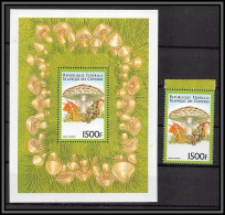 81117b Comores Mi BF N°419 + Timbre Lepiota Molybdites Pepiotes TB Neuf ** MNH Champignons Mushrooms Funghi Pilze - Comores (1975-...)