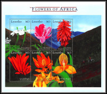 81055b Lesotho Mi N°1644/1649 Disa Uniflora Orchids Fleur Flowers Flower Fleurs Orchidées Orhidee ** MNH 2000 - Lesotho (1966-...)