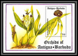 81043 Antigua & Barbuda Mi BF 291 Rodriguezia Lanceolata Orchidées Orchids TB Neuf ** MNH Flowers Fleurs 1994 - Orchids
